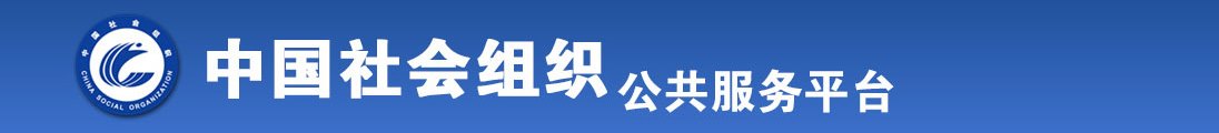 女人抽插大鸡巴视频全国社会组织信息查询